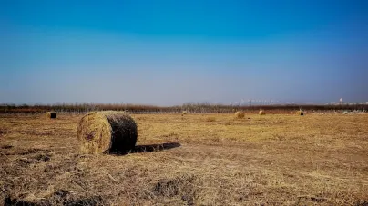 Casholot Casino Mobilapp